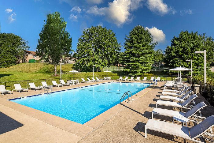 Inviting outdoor swimming pool surrounded by luxurious lounge chairs and vibrant greenery, perfect for relaxation and leisure.