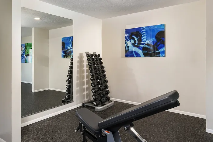 Modern fitness room with a sleek bench, array of dumbbells, and vibrant artwork on the wall, perfect for a home workout.
