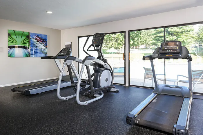 Bright and modern fitness room with well-equipped treadmills and elliptical machines, overlooking a scenic view through large windows.