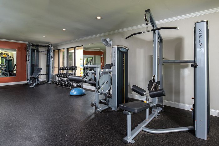 Modern apartment gym with state-of-the-art fitness equipment, including weights and exercise machines, in a spacious and well-lit area.