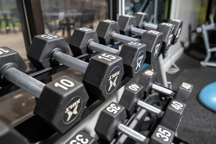 Modern gym facility featuring a sleek rack of various dumbbells perfect for a complete workout experience.