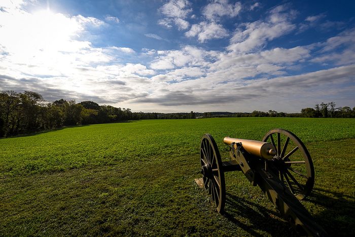 Expansive green field under a bright blue sky with a historic cannon in the foreground.