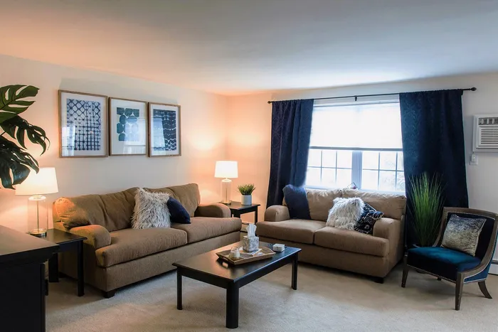 Chic living room with cozy sofas, stylish decor, and bright natural lighting.