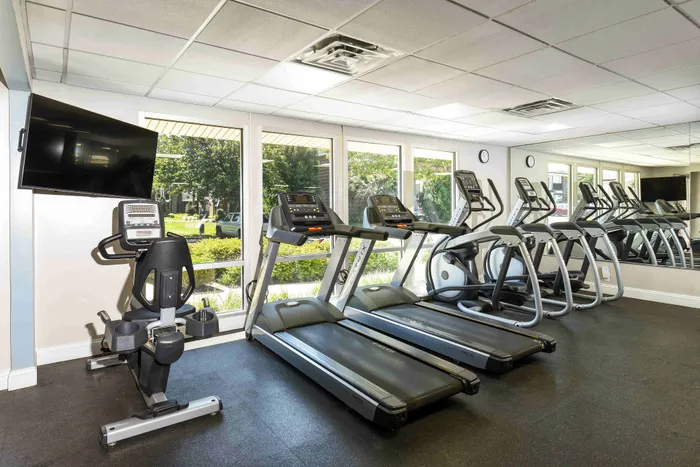 Bright and modern fitness center equipped with state-of-the-art treadmills and exercise bikes, featuring floor-to-ceiling windows providing a lush outdoor view.