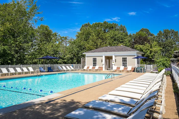 Inviting outdoor pool area with sun loungers and vibrant greenery, perfect for relaxation and leisure.