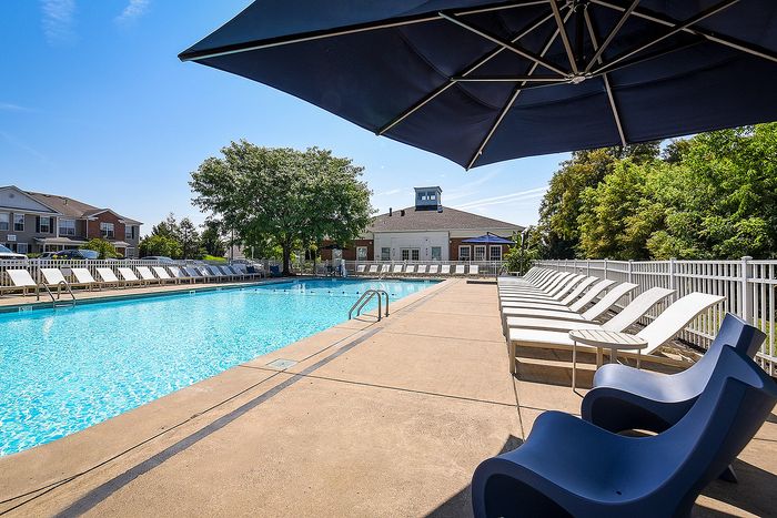 Luxurious outdoor swimming pool with crisp blue water, surrounded by sleek white loungers and vibrant greenery, ideal for sunny relaxation.