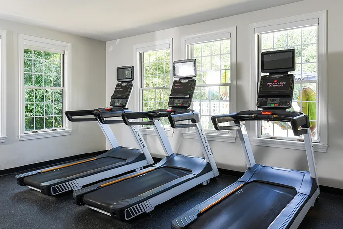 Bright and modern home gym featuring three sleek treadmills facing large, sunlit windows with a lush green view.
