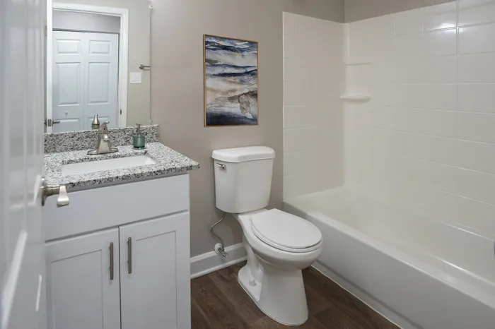 Elegant bathroom with granite countertop, modern fixtures, and a soothing palette, perfect for a stylish and serene living space.