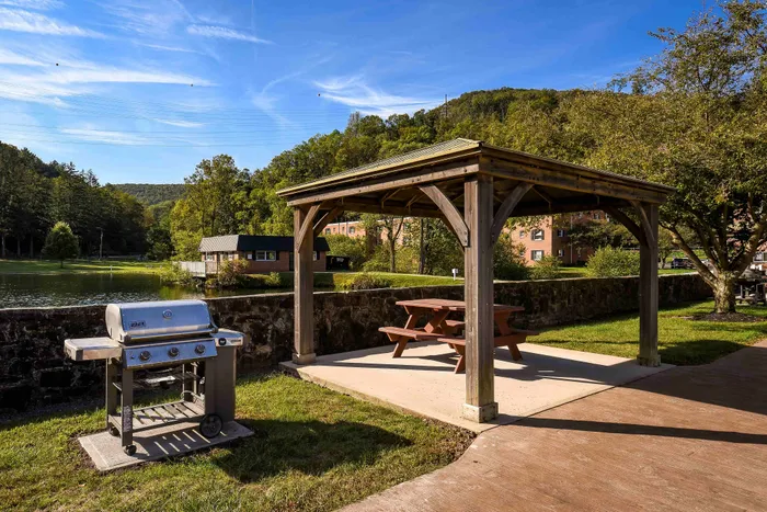 Charming outdoor area with a wooden gazebo and picnic table, perfect for relaxing or entertaining. Scenic backdrop of lush greenery and a serene pond enhances the tranquil setting, ideal for enjoying nature.
