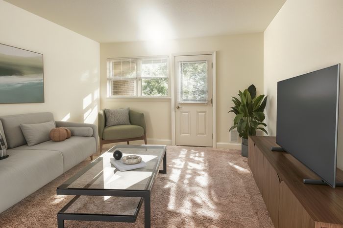 Bright living room with elegant decor, featuring a plush beige carpet, stylish gray sofa, modern glass coffee table, and large flat-screen TV, bathed in natural light from a window and door leading to greenery outside.