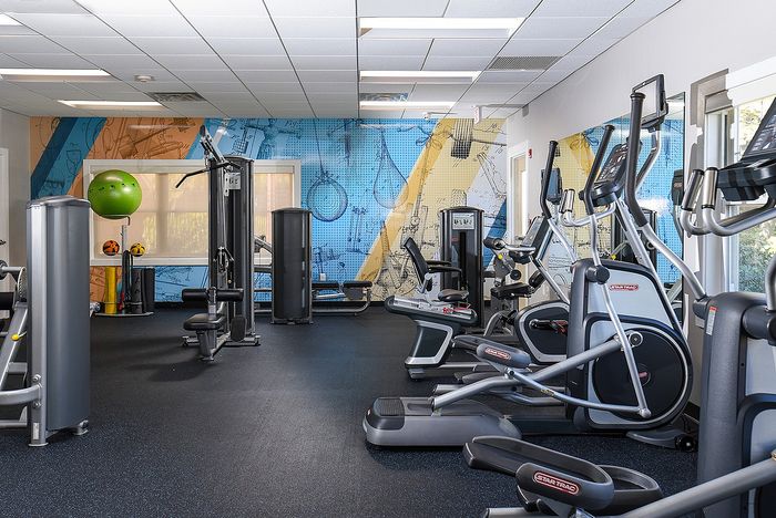 Modern fitness center featuring state-of-the-art exercise equipment, vibrant wall art, and ample natural light.