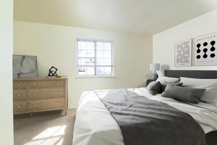 Elegant bedroom with modern decor, featuring a plush bed, stylish wooden dresser, and natural sunlight pouring in through a large window.