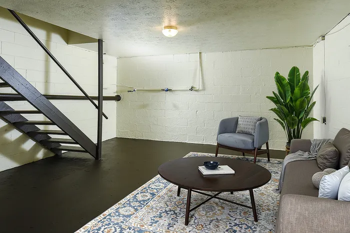 Charming basement living area featuring a cozy seating arrangement, elegant rug, and lush plant accents.