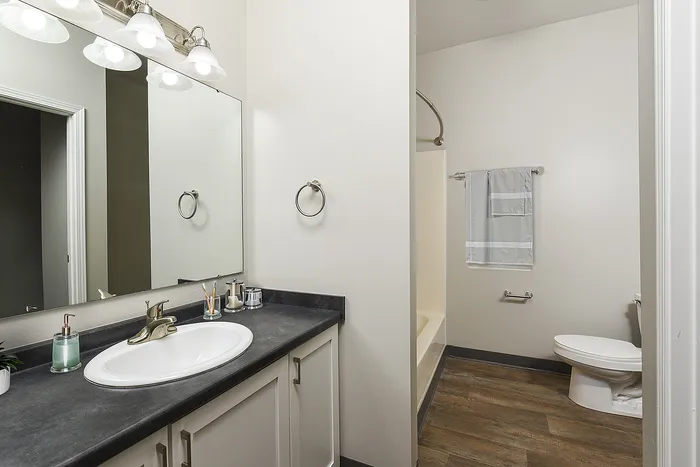 Elegant bathroom featuring modern fixtures, a sleek vanity with ample counter space, and a pristine bathtub for a relaxing soak.