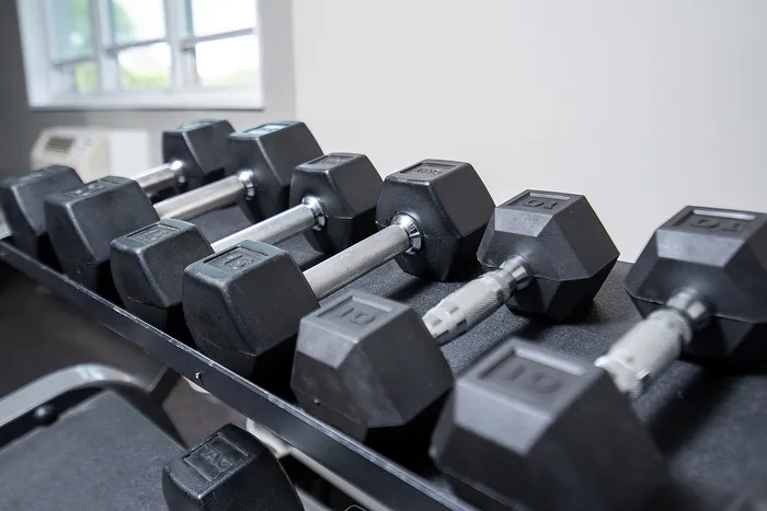 Modern gym facility featuring a sleek rack of hex dumbbells, perfect for a complete workout experience.