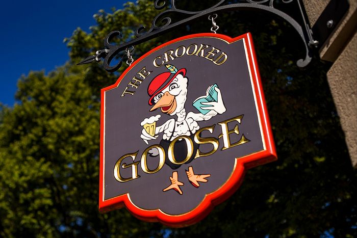 Whimsical pub sign for 'The Crooked Goose' featuring a playful goose with a beer and book, set against a vibrant outdoor backdrop.