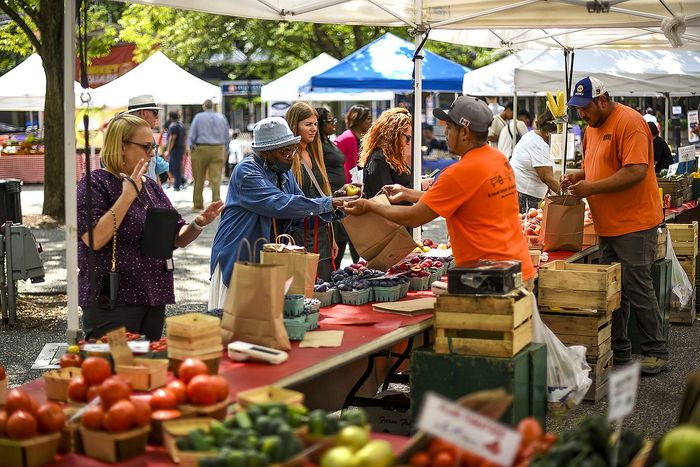 Vibrant farmers market bustling with people exploring fresh produce stalls under colorful tents.