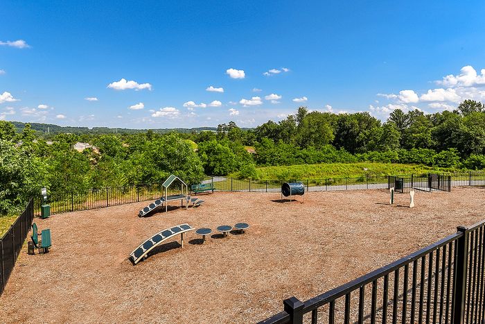 Spacious outdoor dog park with agility equipment, fenced area, and scenic views of lush greenery under a bright blue sky.