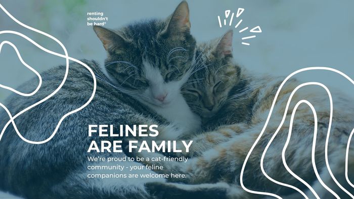 Warm and inviting cat-friendly community poster featuring two cuddling cats, highlighting a welcoming atmosphere for feline companions.