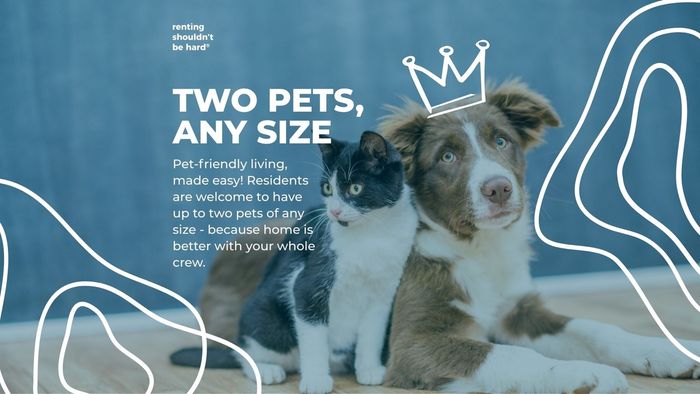 Charming pet-friendly banner featuring an adorable cat and dog duo, emphasizing a welcoming home environment for pets of any size.