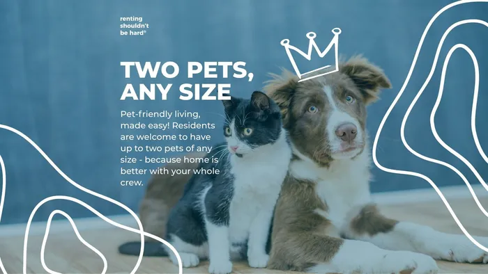 Charming pet-friendly apartment advertisement highlighting a dog and cat resting together, promoting accommodation for two pets of any size.