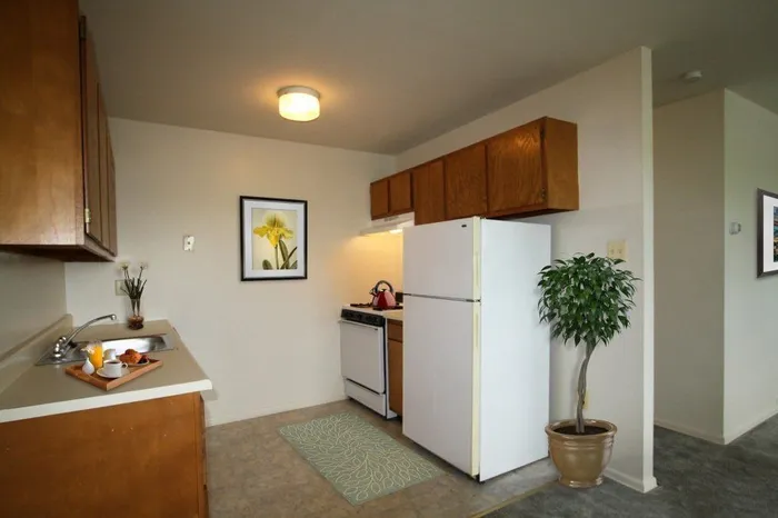 Inviting kitchen nook with modern appliances, cozy artwork, and vibrant greenery, promising a warm culinary experience.