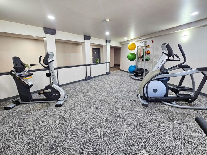 Modern fitness room with state-of-the-art exercise equipment, colorful fitness balls, and stylish interior design featuring plush carpeting.