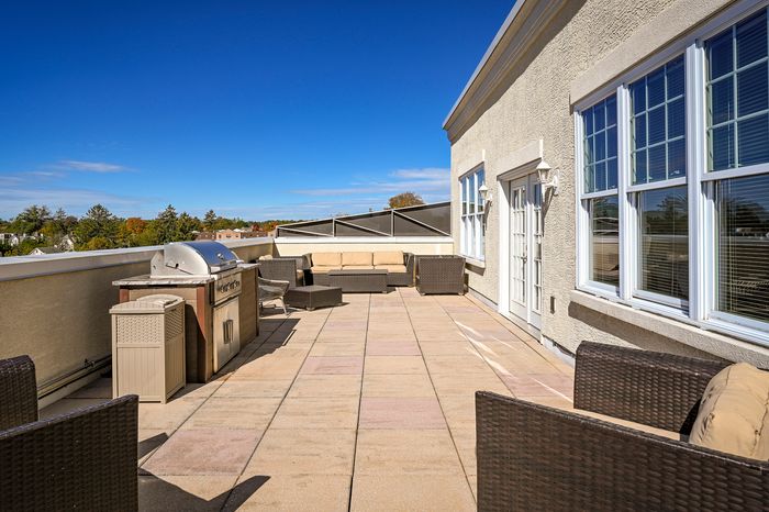 Luxurious rooftop terrace featuring modern outdoor seating, a sleek barbecue grill, and panoramic views of a serene neighborhood.