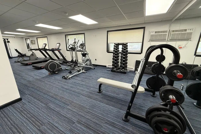 Modern fitness center equipped with treadmills, ellipticals, and free weights on stylish blue flooring.
