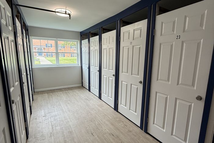 Bright hallway with elegant white doors and modern wood flooring, offering a glimpse of lush greenery through a large window.
