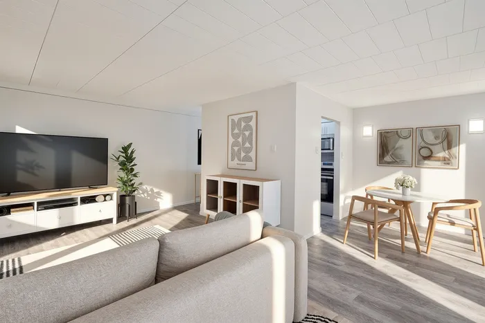 Modern open-concept living room with sleek furniture, cozy dining area, and abundant natural light.