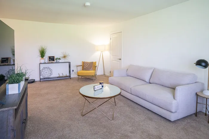 Bright and welcoming living room with cozy gray sofa, elegant decor, and stylish modern furniture, perfect for relaxation and entertaining.