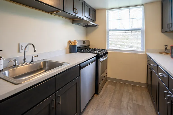 Elegant kitchen featuring sleek dark cabinetry, modern appliances, and abundant natural light from a large window.