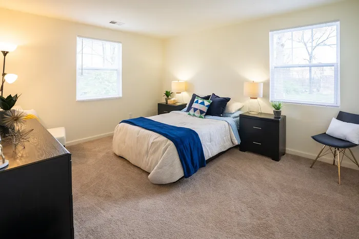 Bright and cozy bedroom featuring a large, comfortable bed with vibrant pillows, soft carpeting, modern furniture, and ample natural light from dual windows.