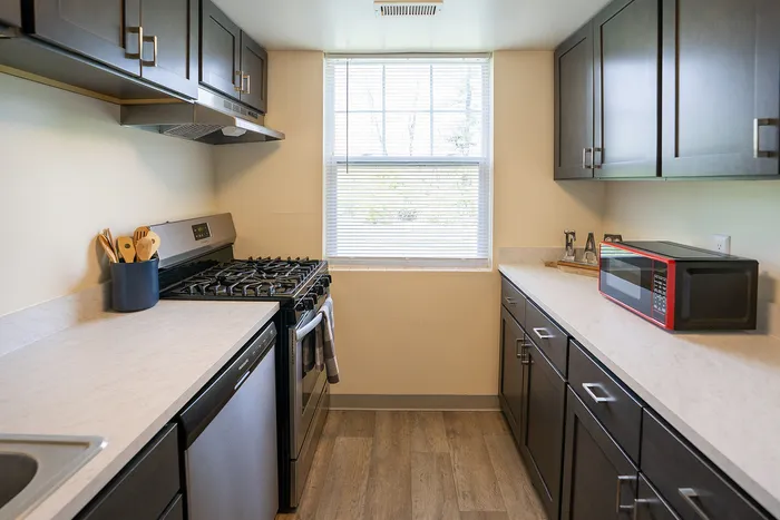 Modern kitchen features sleek dark cabinets, a stainless steel gas stove, and a bright window, creating an inviting cooking space.