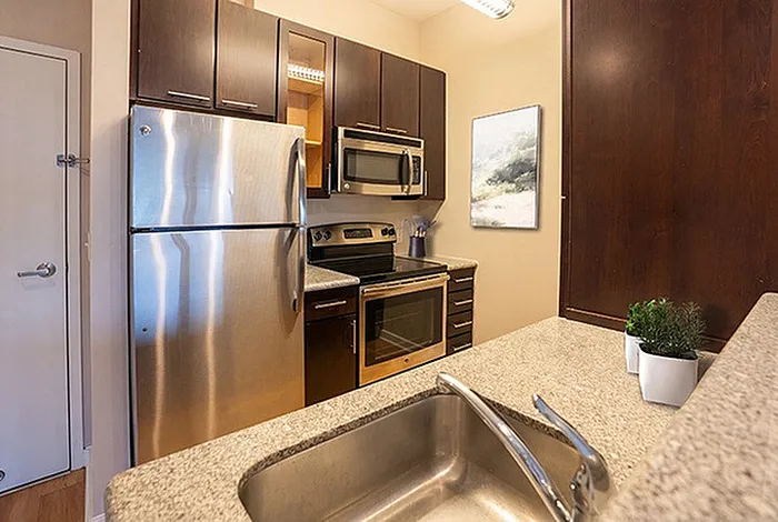 Modern kitchen with sleek stainless steel appliances, elegant dark wood cabinets, and granite countertops offering a stylish cooking experience.