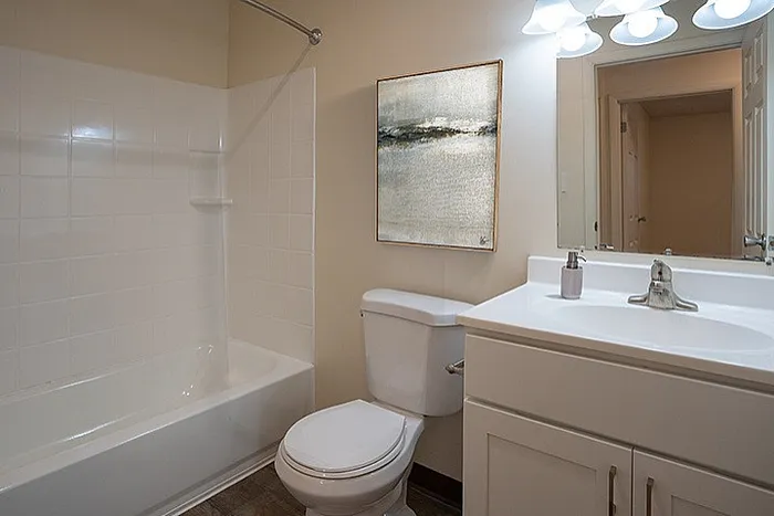 Modern bathroom featuring elegant lighting, a sleek vanity with a stylish sink, a pristine bathtub, and tasteful artwork on the wall.