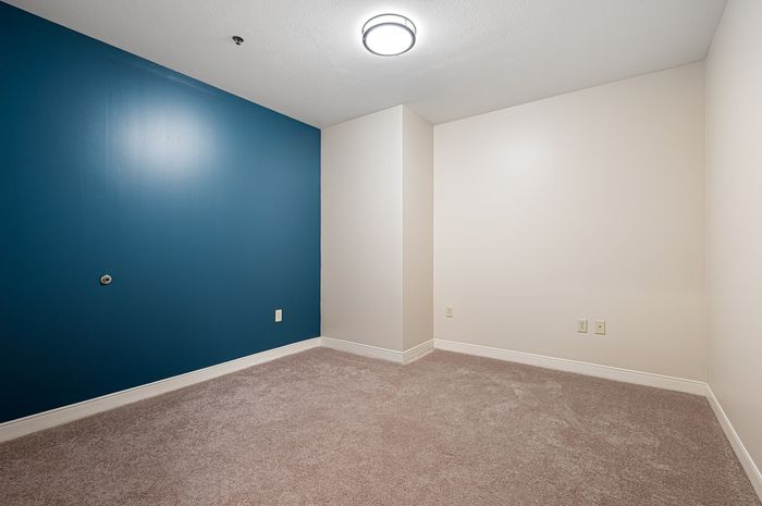 Cozy room with fresh carpeting and a modern blue accent wall, ideal for a peaceful retreat or home office.