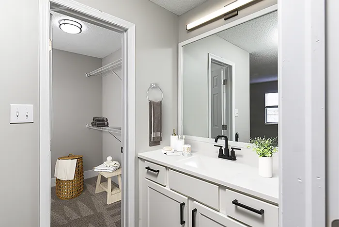 Elegant bathroom with modern fixtures, spacious vanity, and walk-in closet offering ample storage.