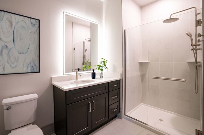 Elegant bathroom featuring a modern glass shower, sleek vanity with ample storage, and contemporary decor in a bright space.