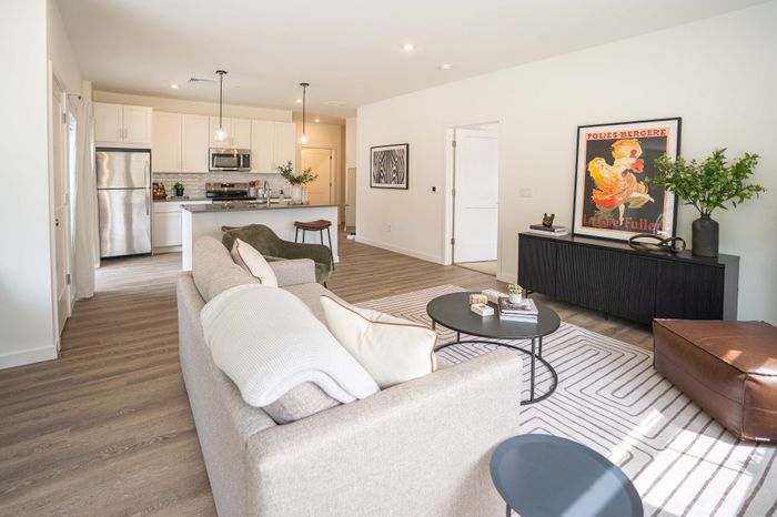 Modern open-concept living space with a cozy sofa, sleek kitchen, and stylish decor, perfect for comfortable living.