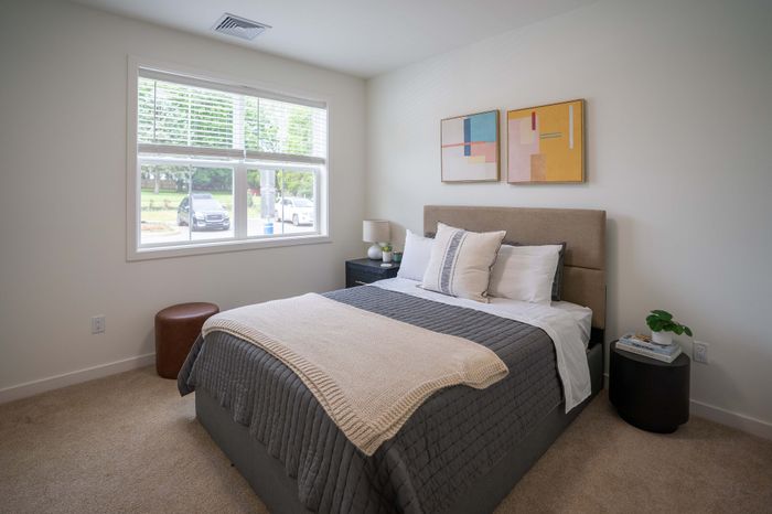 Bright and cozy bedroom with a plush bed, modern decor, and large window providing natural light.