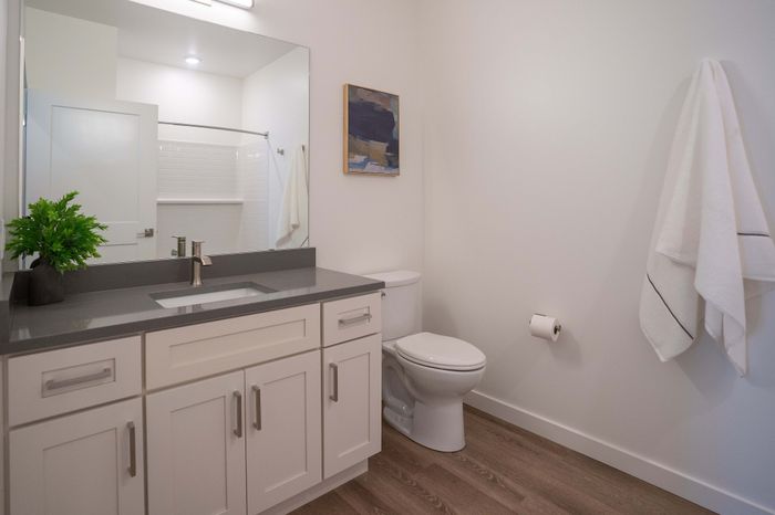 Elegant modern bathroom featuring sleek cabinetry, spacious countertop, and a large mirror, accented with a fresh plant and minimalist decor.