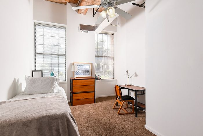 Bright and inviting bedroom with high ceilings, cozy carpet, modern furniture, and abundant natural light from large windows.