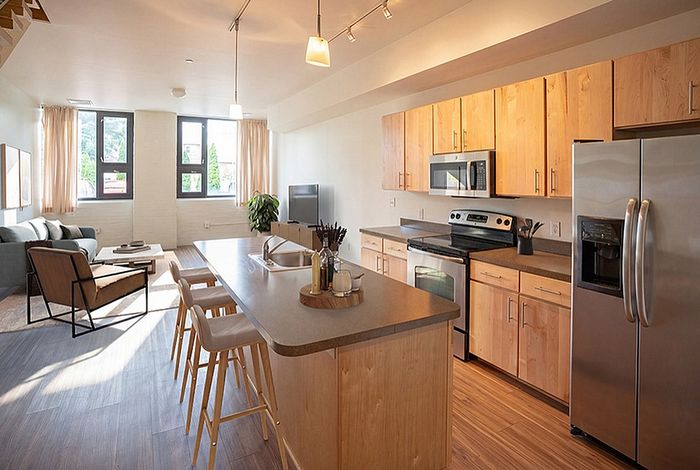 Chic open-concept apartment with a modern kitchen, sleek wooden cabinets, and a cozy living room featuring natural light.