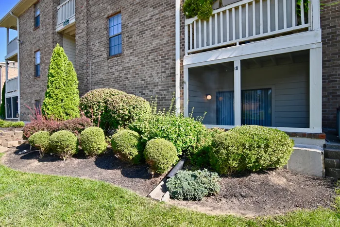 patio balcony landscaping