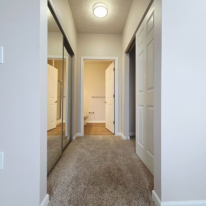 Bright, inviting hallway with plush carpet, mirrored closet doors, and modern lighting leading to a stylish bathroom.