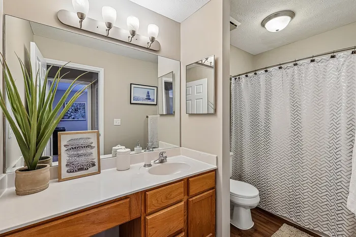 Elegant bathroom with modern lighting, sleek vanity, and decorative elements. Features a stylish shower curtain and light wood cabinetry.