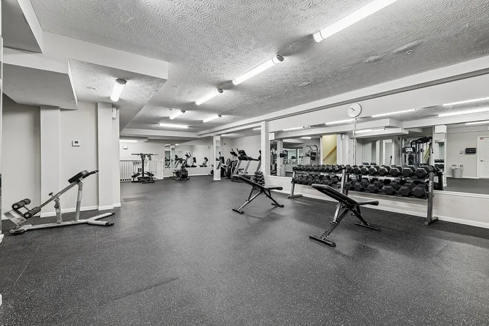 Spacious and modern apartment gym featuring state-of-the-art fitness equipment, free weights, and ample space for workouts.