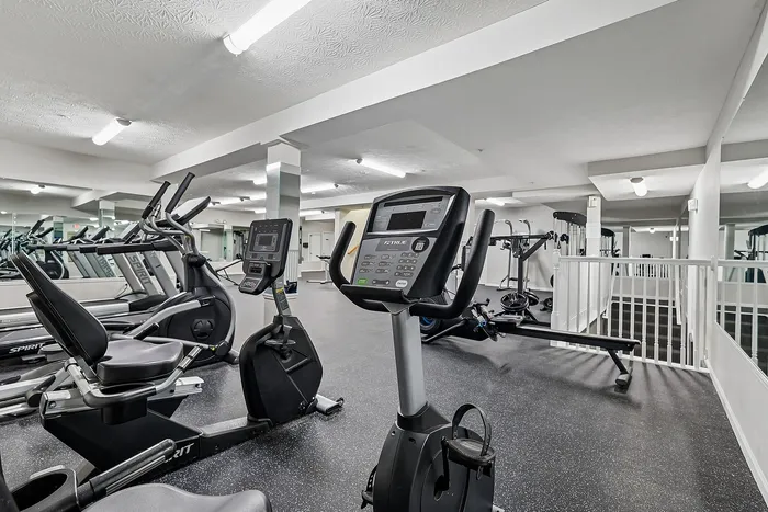 Sleek and modern gym facility featuring state-of-the-art cardio machines and ample workout space.